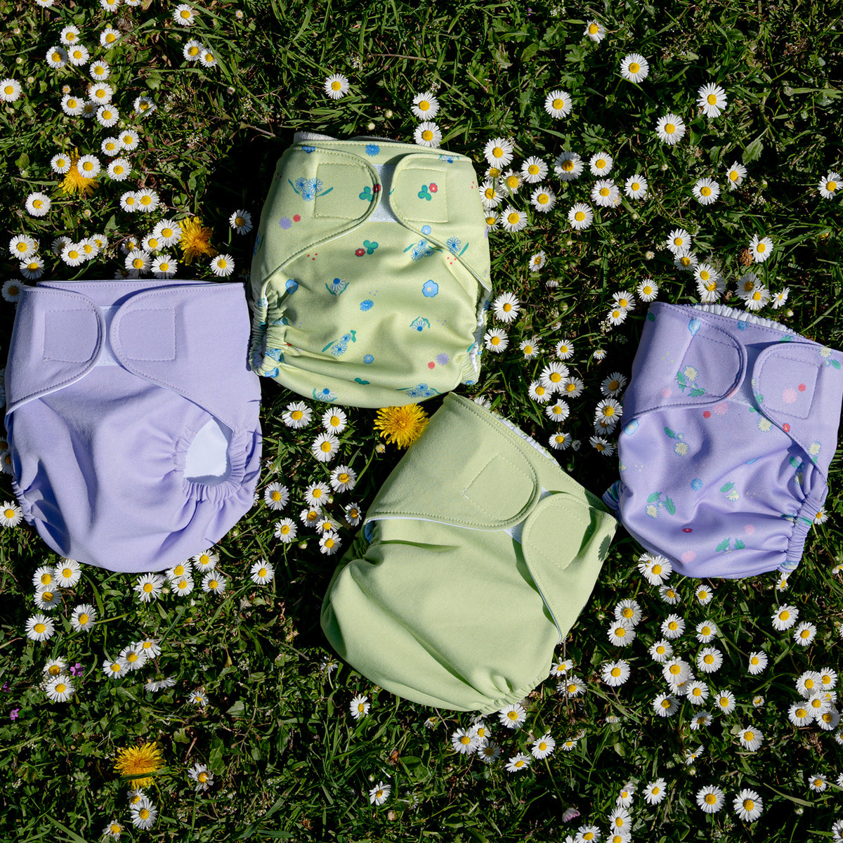 judes-family-fleur-bundle-limited-edition-klassik-set-daisy-dandelion image 5
